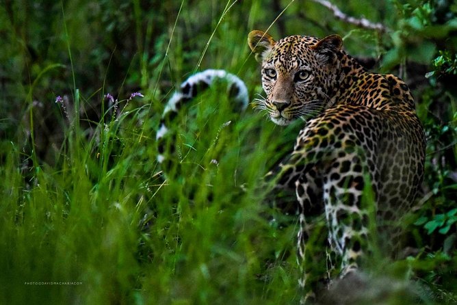 3 Day Maasai Mara Adventure Group Safari - Pricing Information