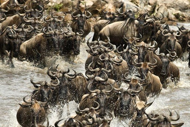 3 Day Maasai Mara Adventure Group Safari - Important Reminders