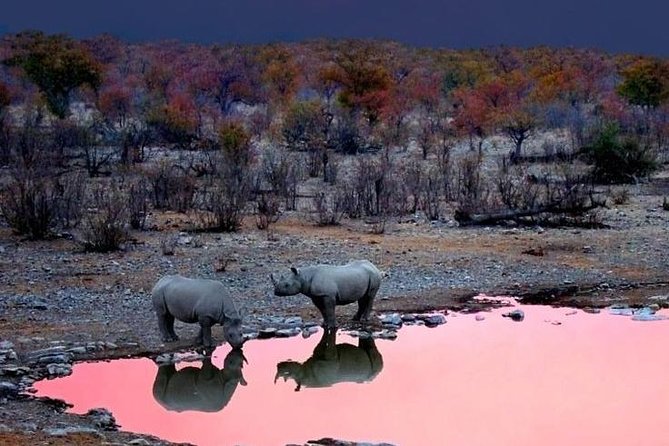 3 Day Maasai Mara Adventure Group Safari - Operator Information