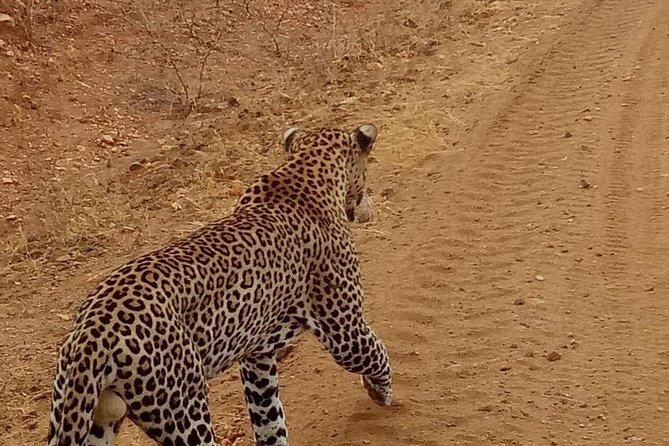 3 Day Maasai Mara Budget Camping Group Safari - Inclusions and Exclusions