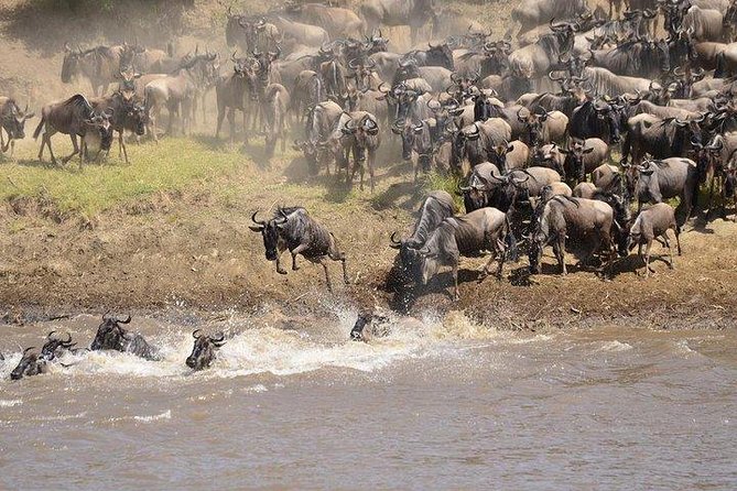 3-Day Maasai Mara Safari at Sopa Lodge From Nairobi - Frequently Asked Questions