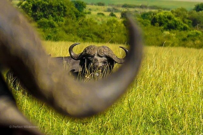 3-Day Maasai Mara Safari at Sopa Lodge From Nairobi - Frequently Asked Questions