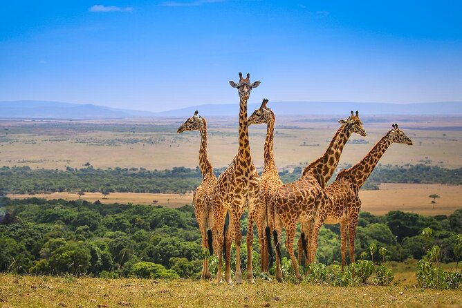 3-Day Maasai Mara Safari Tour From Nairobi - Tour Overview