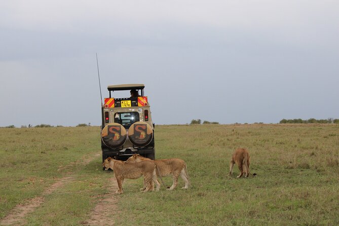 3-Day Maasai Mara Sharing Safari in a 4x4 Land Cruiser Jeep - Safari Overview