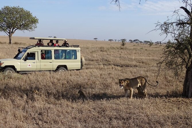 3-Day Maasai Mara Small Group Safari in a 4 X4 Land Cruiser Jeep - Safari Itinerary