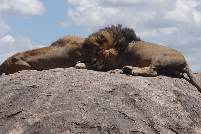 3 Day Magic Safari (Arusha, Tarangire & Manyara NP) - Inclusions and Exclusions