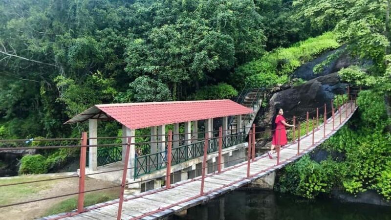 3-Day Mahiyanganaya Wildlife, Waterfalls, Culture, Yala Drop - Final Thoughts