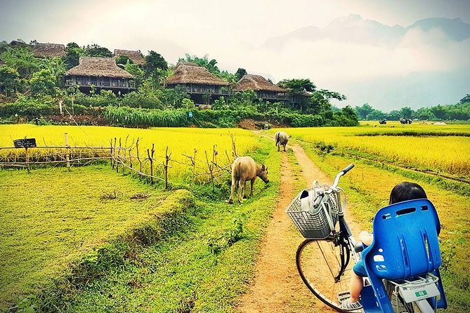 3-Day Mai Chau & Pu Luong Natural Reserve With Round Trip Transfer From Hanoi - Round Trip Transfer Details