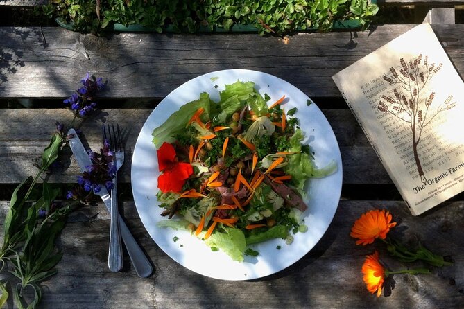 3 Day Margaret River Yoga Wellness Glamping Adventure From Perth - The Sum Up