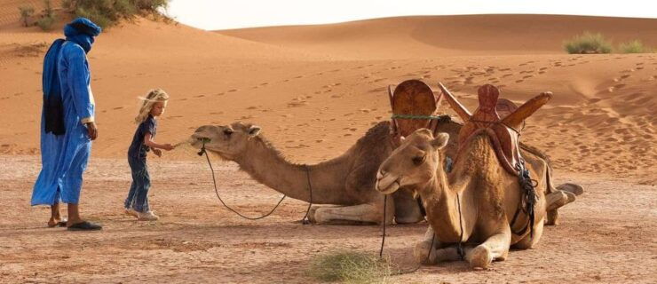 3-Day Marrakech Desert Tour To Erg Chigaga Dunes - Tour Highlights