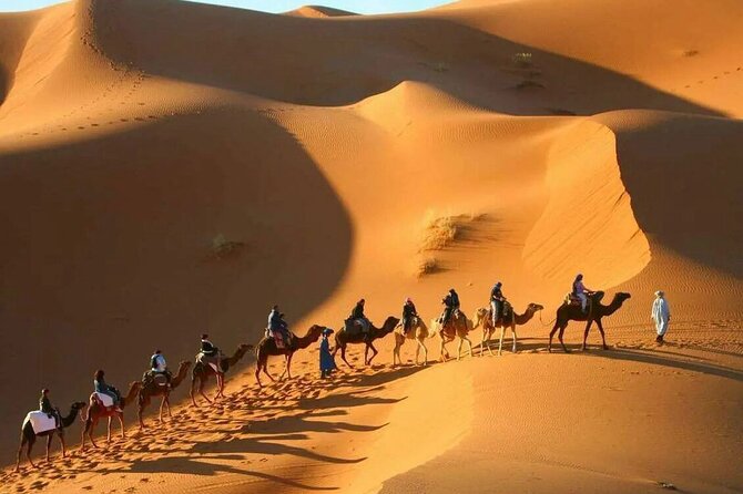 3-Day Marrakech to Fes Desert Tour: Camel Trek, Overnight Camping - Scenic Route and Stops