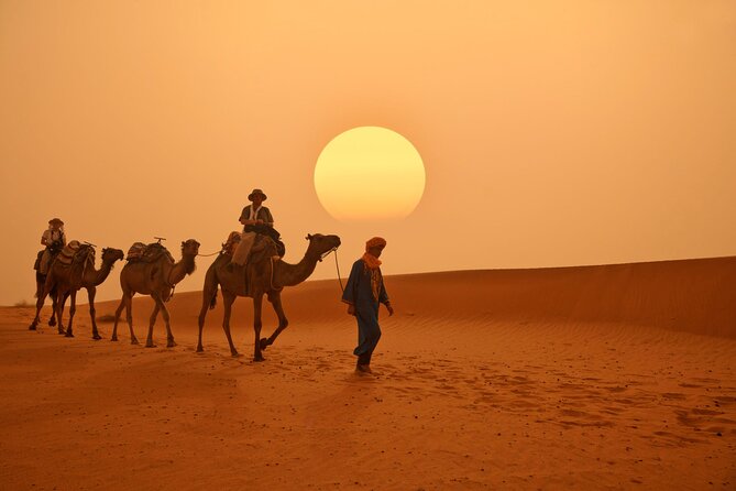 3-Day Marrakech to Merzouga Sahara Desert Adventure - Trip Highlights
