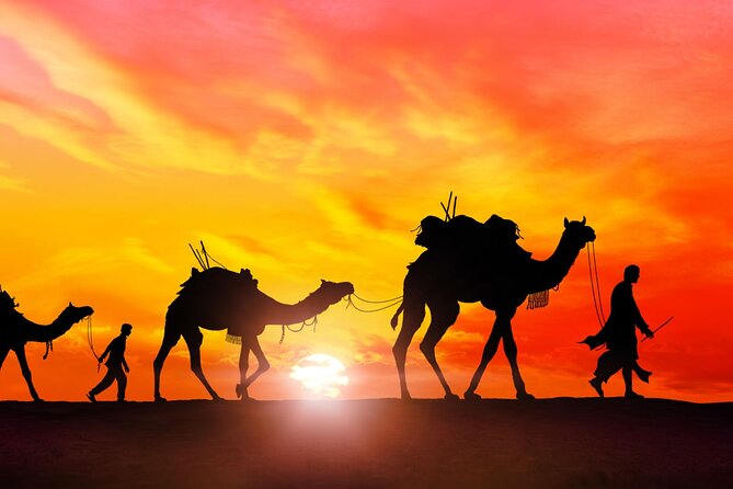 3-Day Marrakech to Merzouga Sahara Desert Adventure - Tour Organization