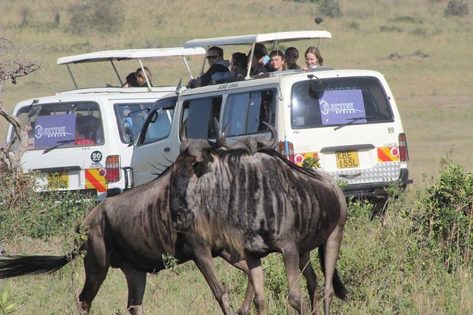 3 Day Masai Mara Authentic Safari - Pricing and Booking Information