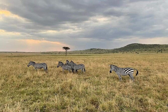 3-Day Masai Mara Group Joining Safari Adventure - Cancellation Policy