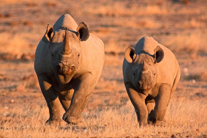 3-Day Masai Mara Group Safari With Pick up - Traveler Requirements