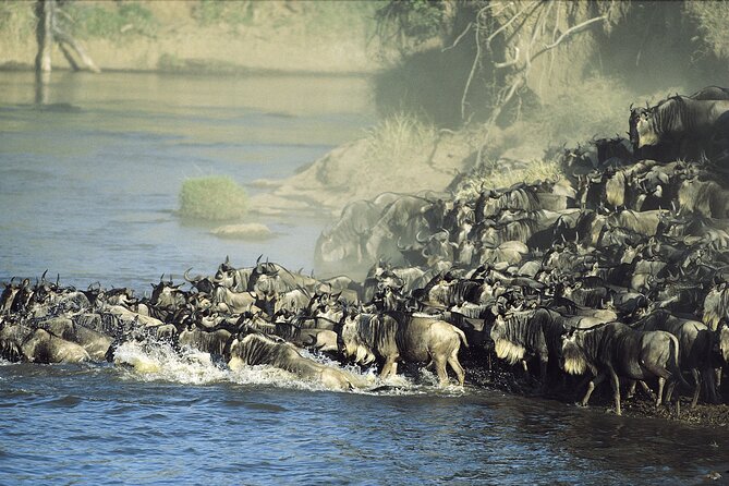 3-Day Masai Mara Group Safari With Pick up - Frequently Asked Questions