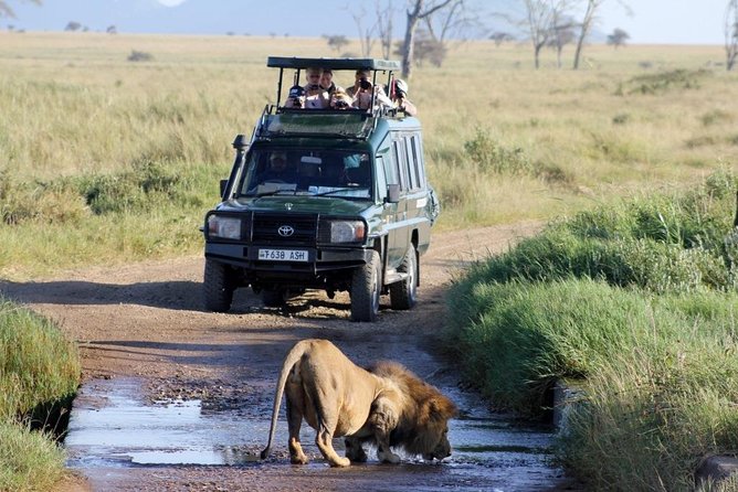 3-Day Masai Mara Luxury Safari on 4x4 Land Cruiser - Safari Experience Highlights