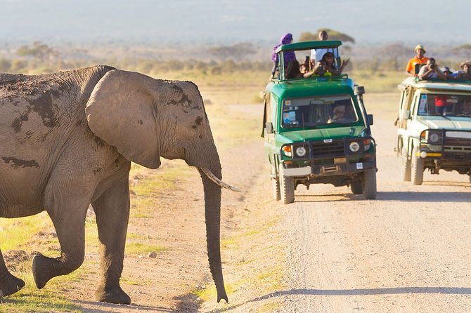 3-Day Masai Mara Luxury Safari on 4x4 Land Cruiser - Booking and Cancellation Policies