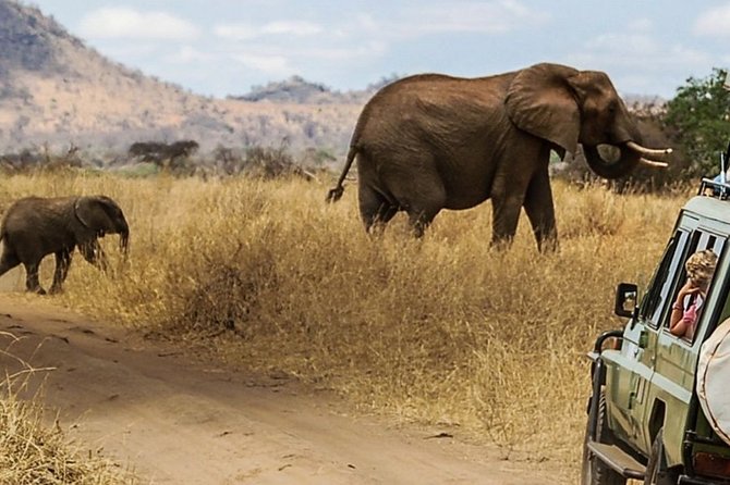 3-Day Masai Mara Luxury Safari on 4x4 Land Cruiser - Frequently Asked Questions