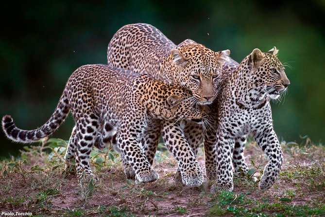 3-Day Masai Mara National Park Deluxe Tour - Accommodations