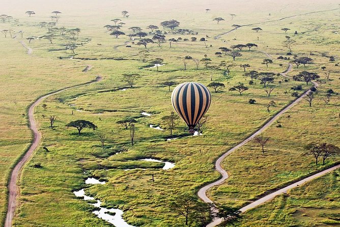3-Day Masai Mara National Park Superior Tour - Safari Experience