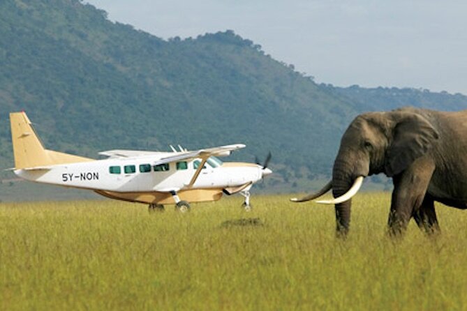 3 Day Masai Mara Safari Flying Package - The Sum Up