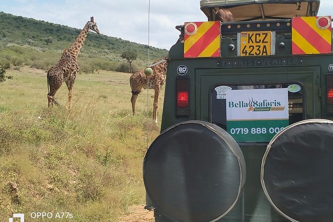 3-Day Masai Mara Wildlife Migration Experience. - Packing List