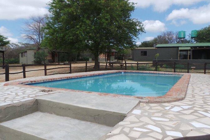 3-Day Masango Safari Tour in Johannesburg - Tour Highlights