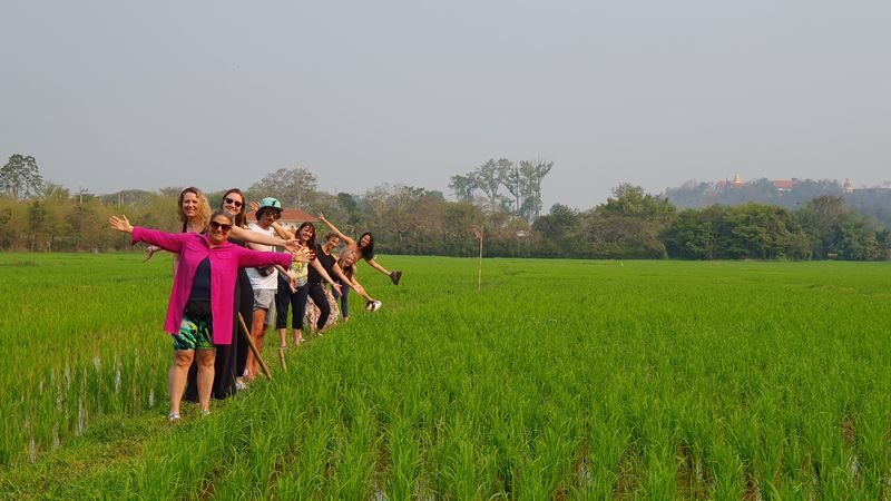 3 Day Meditation, Yoga and Thai Cultural Immersion Retreat - Thai meals and the cultural side