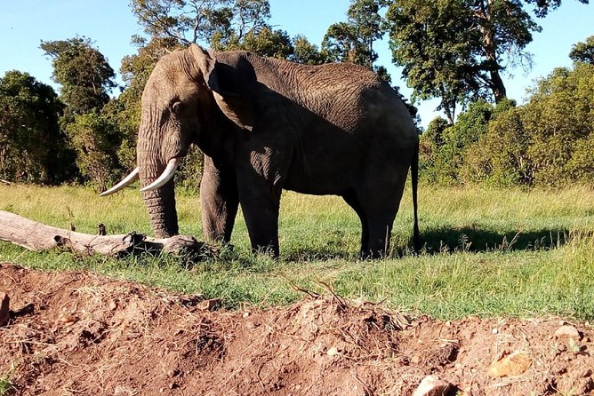 3-Day Meru National Park Private Guided Safari Tour - Accommodation Details