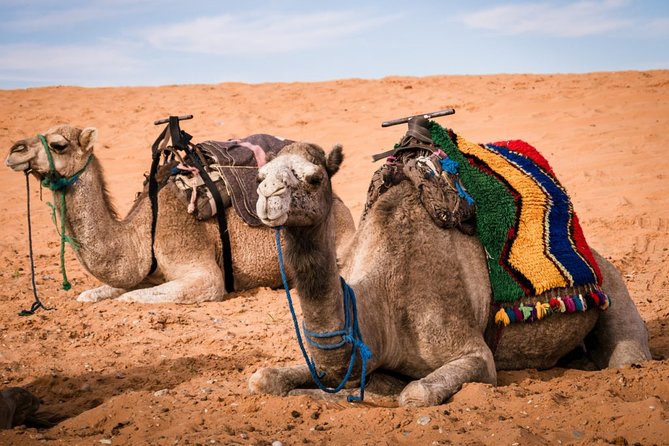 3-Day Merzouga Desert Tour From Marrakech - Tour Highlights