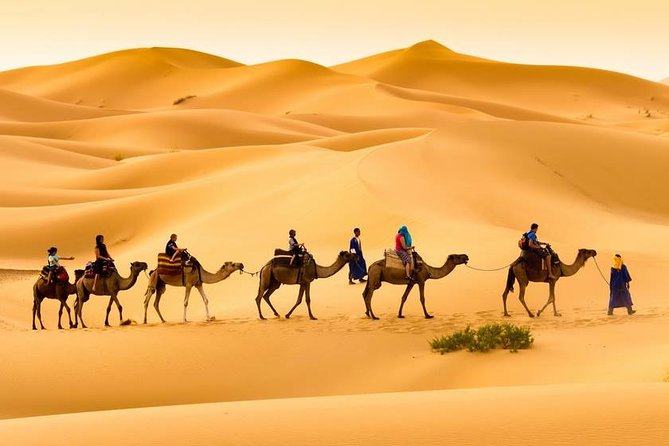 3-Day Merzouga Desert Tour From Marrakech - Reviews and Ratings