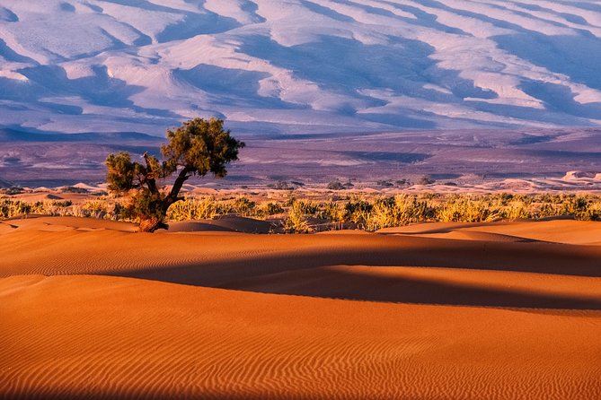 3-Day Merzouga Desert Trip From Fes To Marrakech - Inclusions and Exclusions