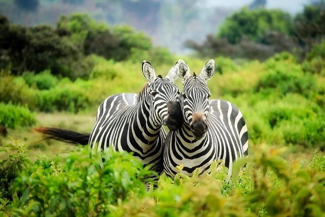 3-Day Mind Refreshing in Murchison Falls National Park - Wildlife Encounters