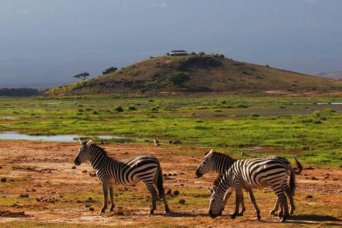 3-Day Mombasa to Amboseli Safari - Cancellation Policy Highlights