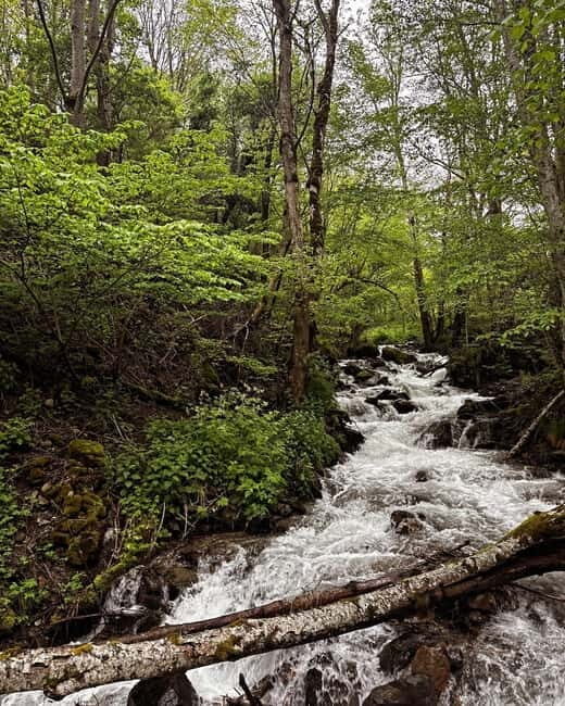 3-Day Monastery Tour: Rila, Bachkovo & Rozhen from Sofia - The Sum Up