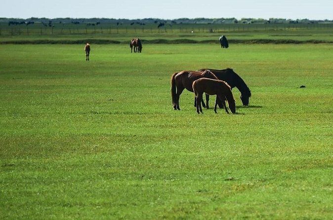 3-Day Mongol Empire Capital of Xanadu Tour from Beijing - Final Thoughts