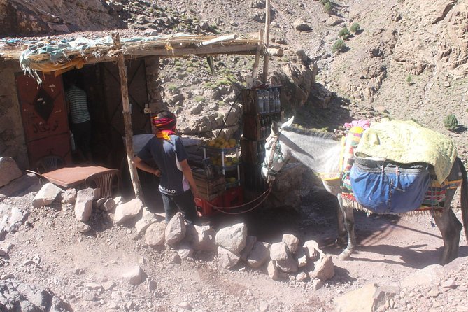 3-Day Mount Toubkal Guided Trek in Atlas Mountains - Price Details