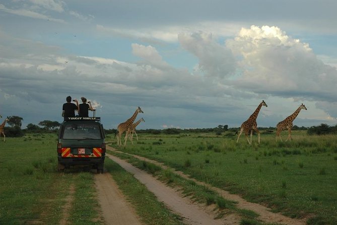 3-Day Murchison Falls National Park - Adventure Safari - Accommodation Details
