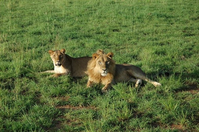 3-Day Murchison Falls National Park - Adventure Safari - Booking Information
