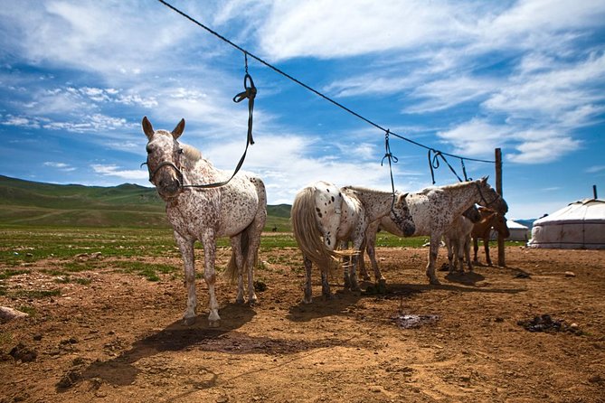 3-Day Naadam Festival Group Tour - Tour Details and Price