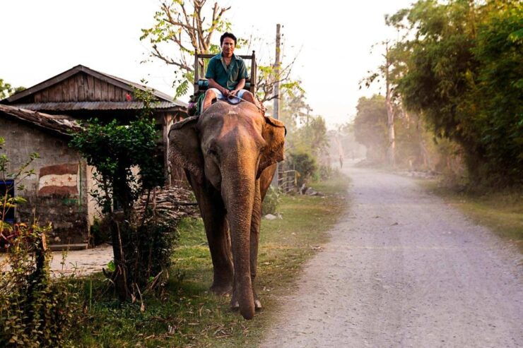 3 Day Nepal Chitwan Jungle Safari Tour From Kathmandu - Inclusions and Accommodation