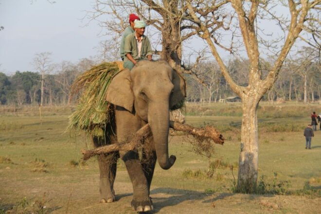 3 Day Nepal Chitwan Jungle Safari Tour From Kathmandu - Booking and Cancellation Details