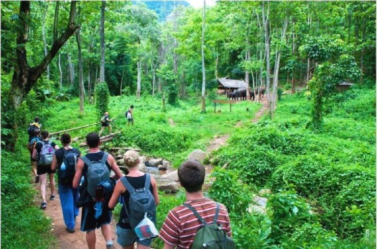3-Day Ninh Binh - Bai Tu Long Bay Luxury Junk - Itinerary Highlights