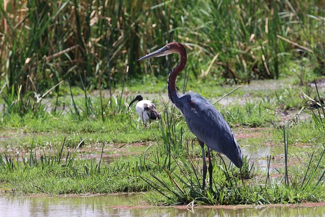 3 Day: Northern Wonders Safari - Weather Considerations
