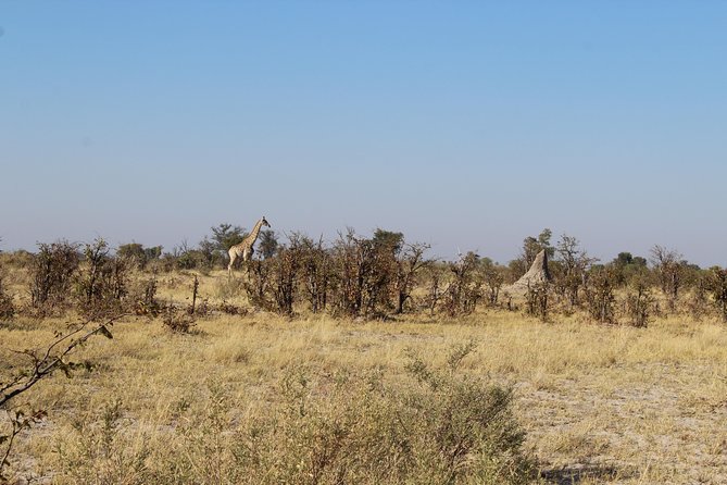 3 Day Okavango Delta Mokoro Safari - The Sum Up