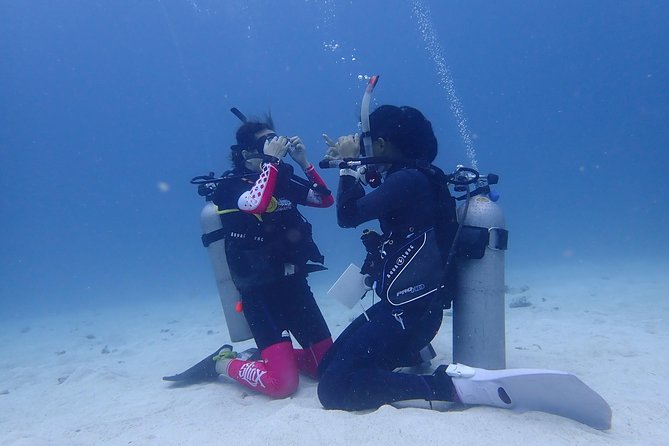 3-Day PADI Open Water Diver Course, Koh Samui - Reviews and Ratings