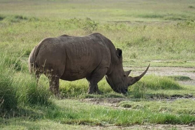 3 Day Private 4x4 Jeep Tour in Masai Mara Safari - Frequently Asked Questions