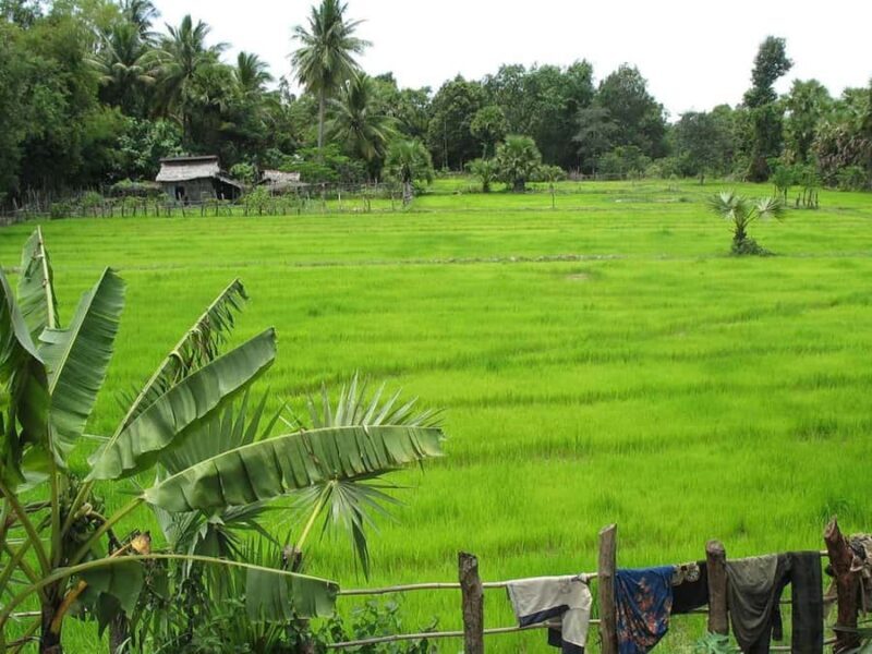 3-Day Private Angkor Wat Tour: Sunrise, Temples & Village - Exploring Angkor Wat: A Closer Look